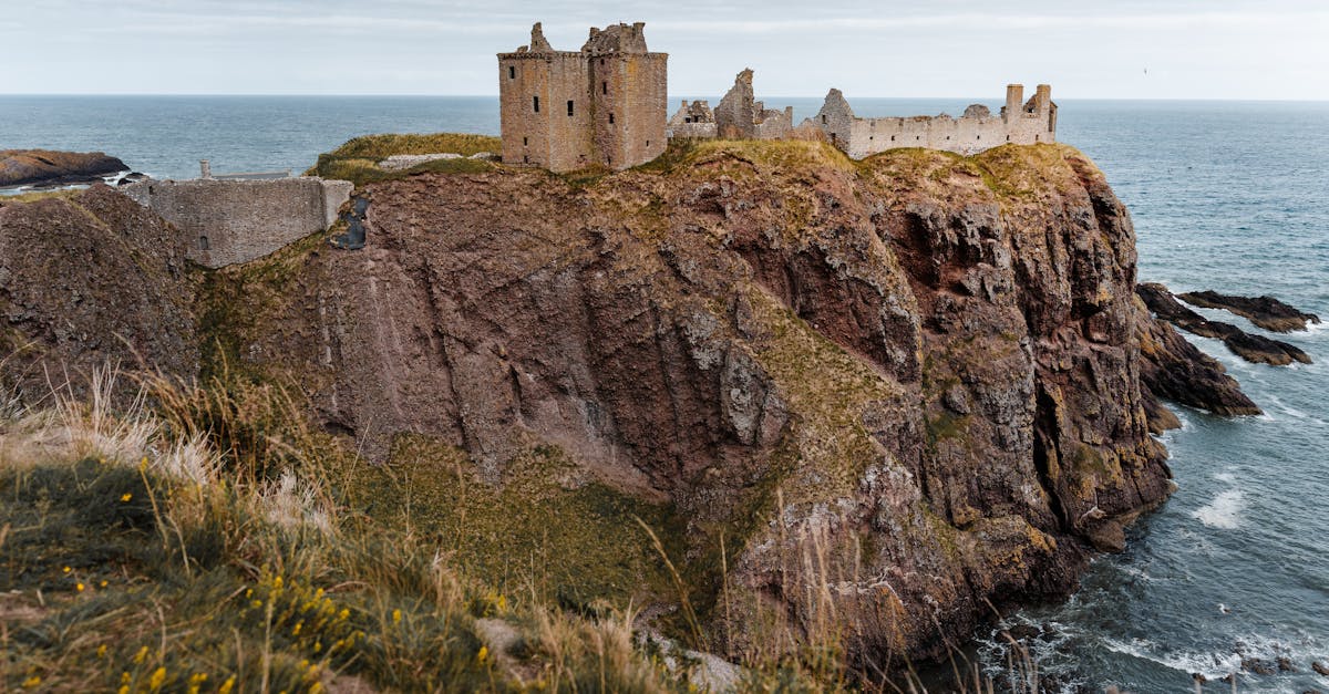 Preserved fossil of Prototaxites taiti from Rhynie chert in Aberdeenshire, Scotland, showing tubular structure