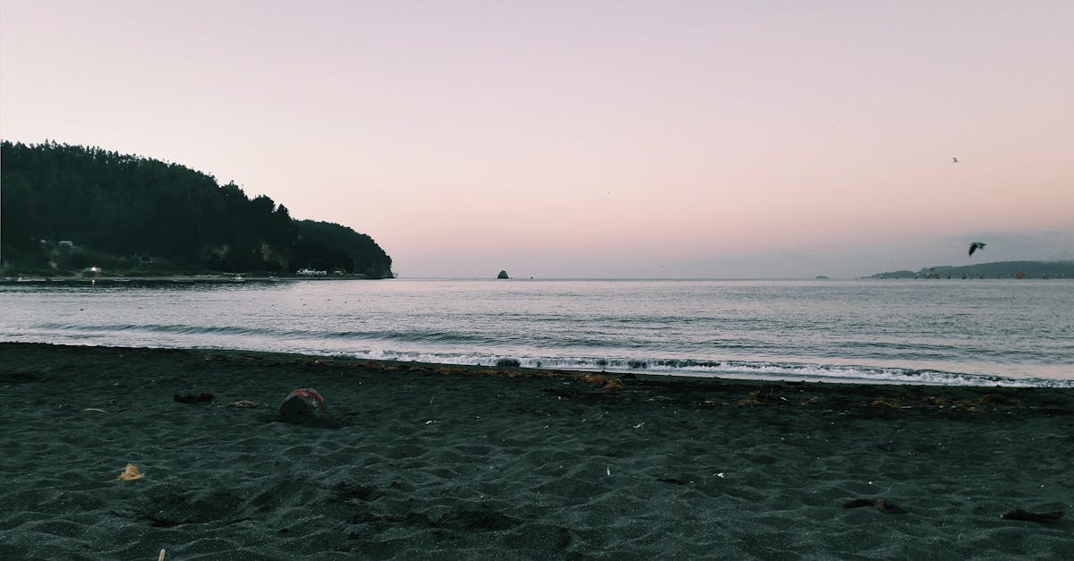 Smoke rises from wildfires burning through forests in Chile's Nuble and Bio Bio regions, with evacuees fleeing homes