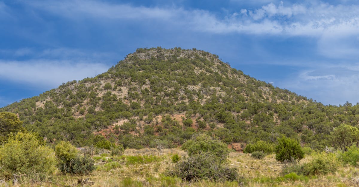 Exterior view of Camp East Montana immigration detention facility at Fort Bliss in El Paso, Texas