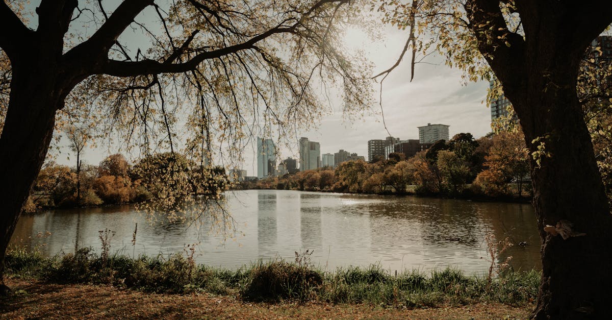 Giannis Antetokounmpo in his Milwaukee Bucks jersey during a game