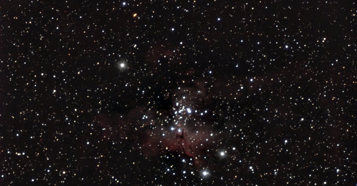 Illustration of zodiac constellations under starry night sky for January 17 horoscope