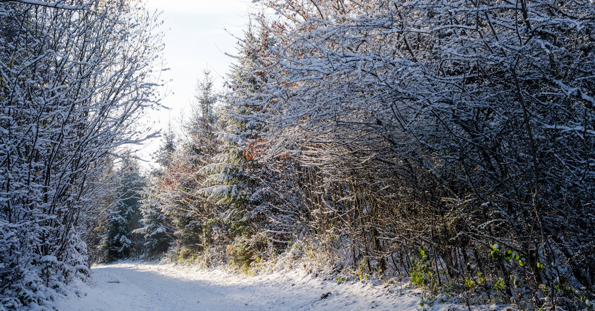 Helicopter airlifting Lindsey Vonn from Crans-Montana ski course after downhill crash