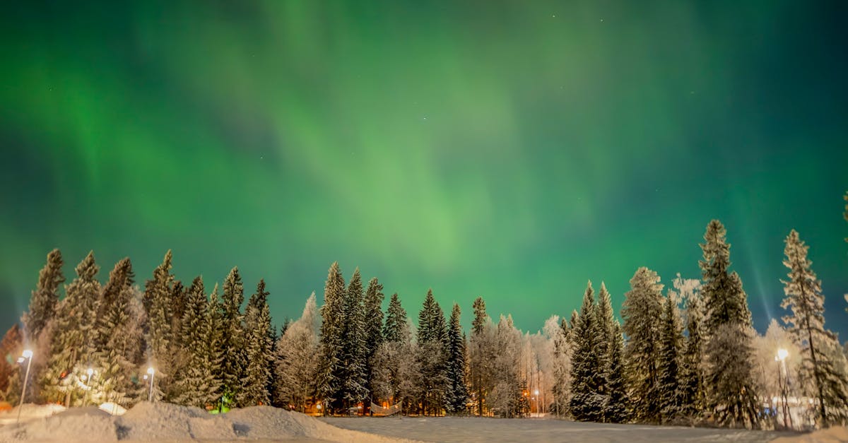 Vibrant Northern Lights dancing over Arctic tundra with reindeer in foreground