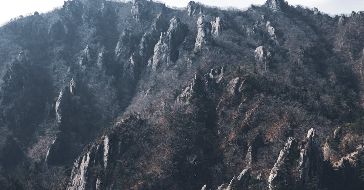 Oglala Sioux Tribe flag flying at Pine Ridge Reservation in South Dakota