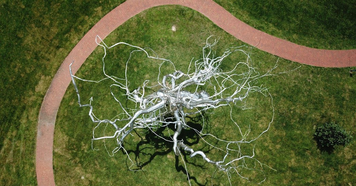 Illustration of brain neurons highlighting SIRT6 protein and tryptophan metabolic pathways