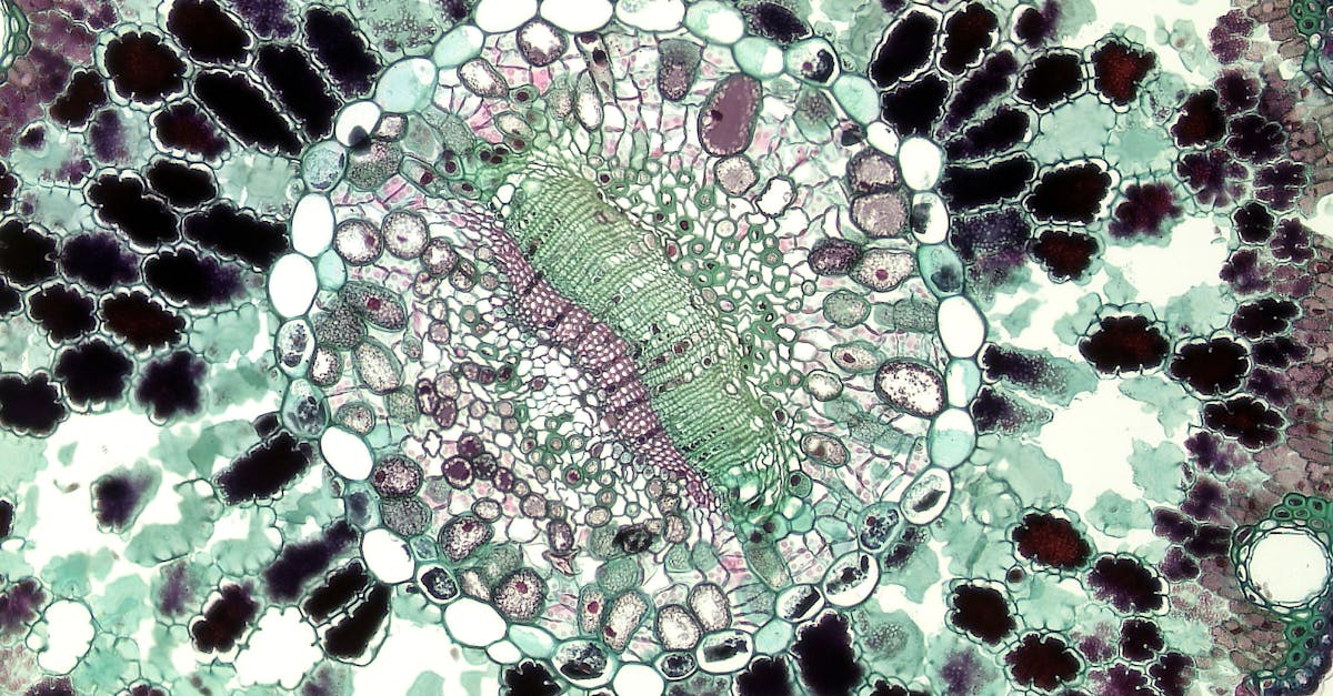 Close-up view of a solid ceramic electrolyte material used in advanced battery research