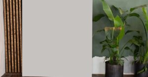 Superorganism Secures $25.9M for Biodiversity Startups