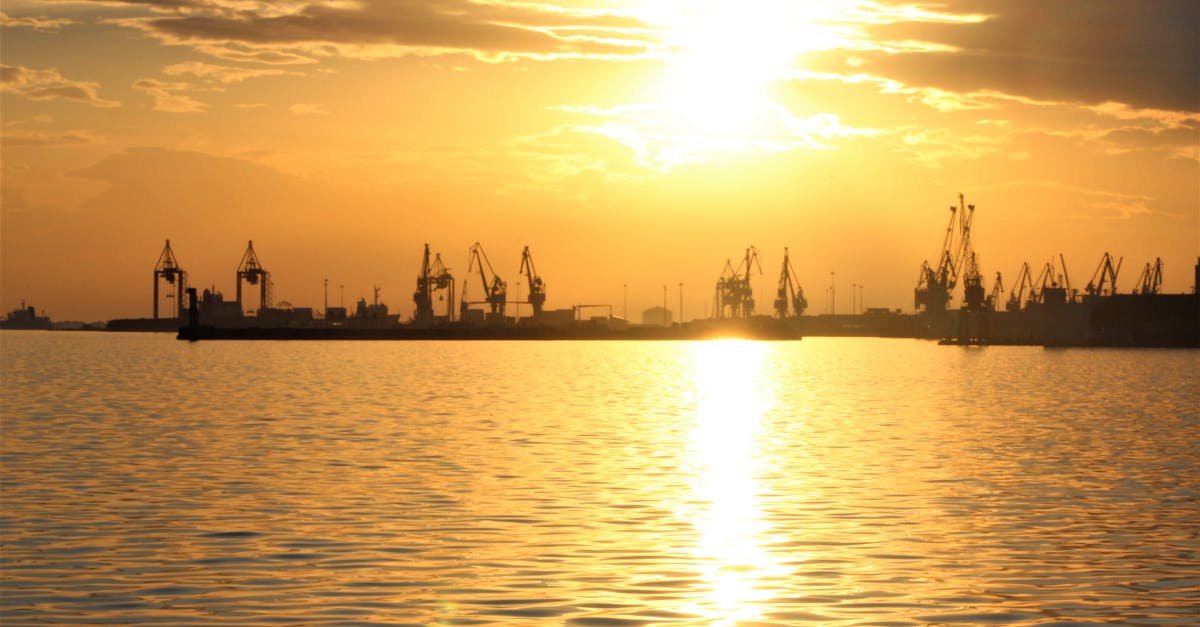 Cranes at Thessaloniki port reimagined for documentary festival theme