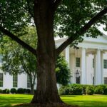 Trump Warns of Tariffs on Nations Opposing US Greenland Bid