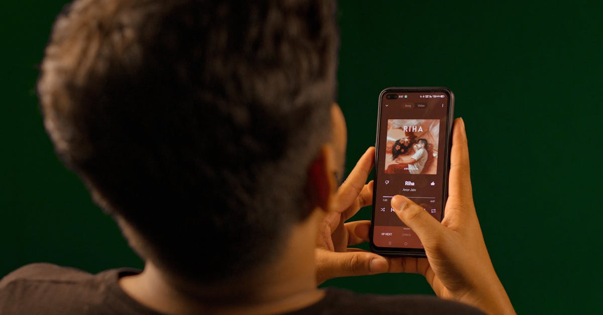 NetEase Cloud Music streaming platform interface showing music catalog and playback controls