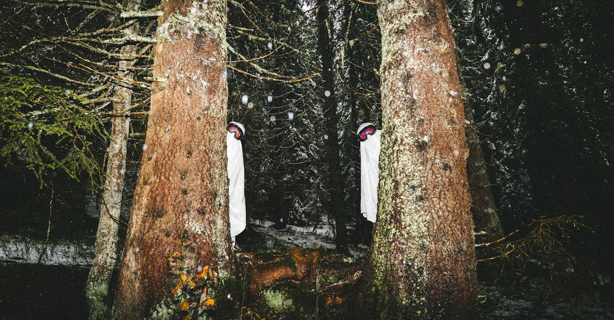 Modern hospital hallway with dramatic lighting suggesting supernatural elements