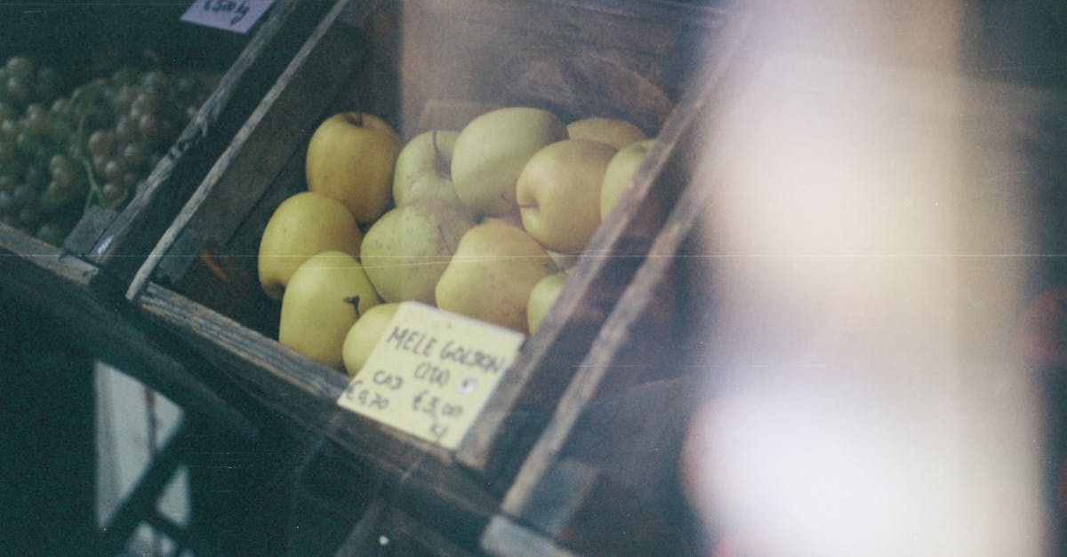 The European Film Market in Berlin brings together filmmakers and industry professionals for deals and partnerships