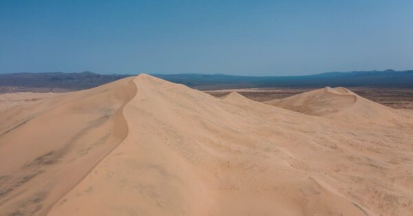 Artist reconstruction of Spinosaurus mirabilis with scimitar-shaped head crest in ancient Sahara river