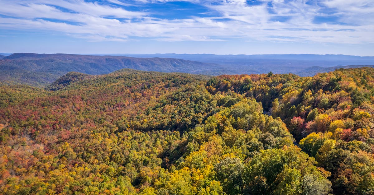 Aerial view of heavy snow blanketing homes and roads in the Carolinas during bomb cyclone