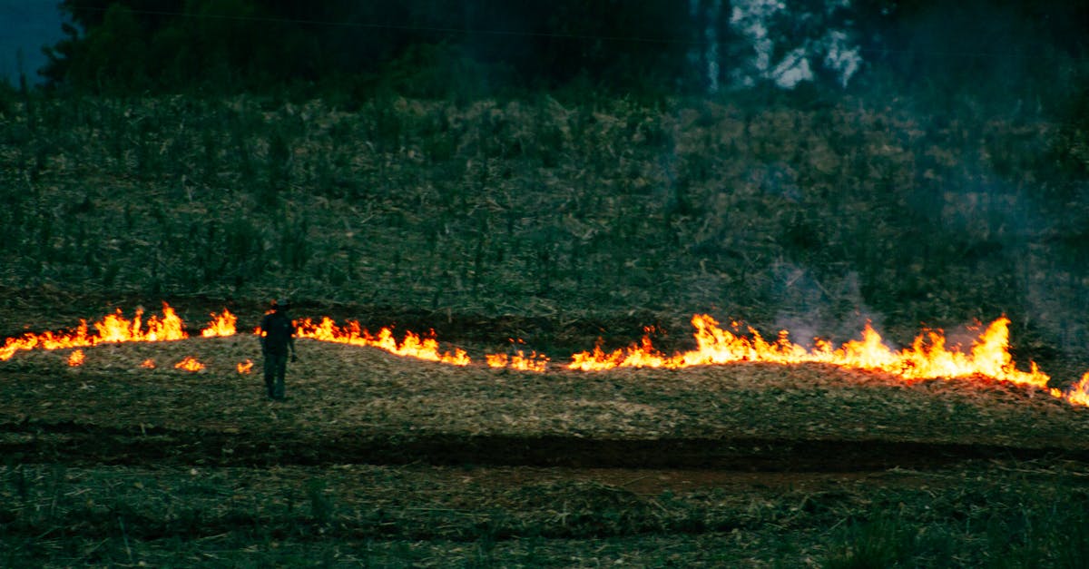 Illustration of early human near fire with burn on hand showing evolutionary changes