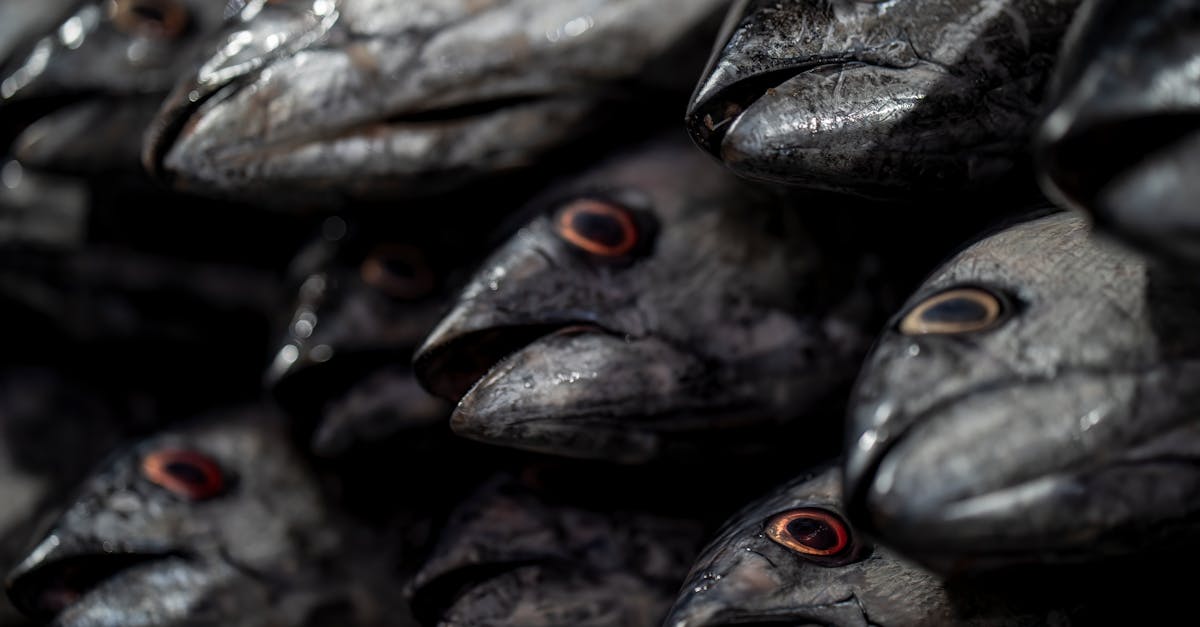 Damaged eight-story building in Bandar Abbas after gas explosion with debris and smoke