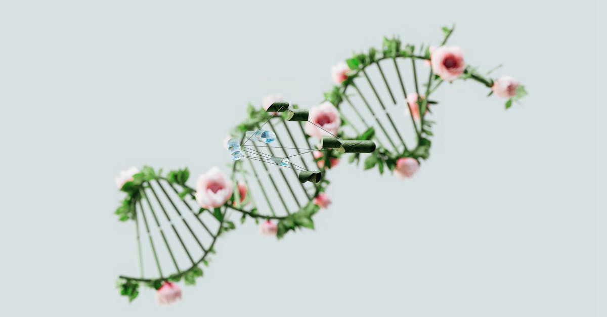 Visualization of DNA sequence analyzed by AI model for gene regulation patterns