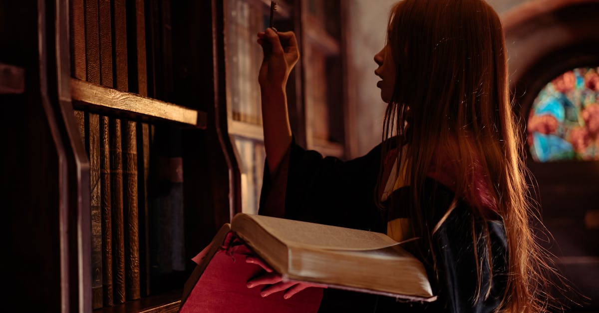 Fantasy adventurers from Baldurs Gate 3 in a magical landscape