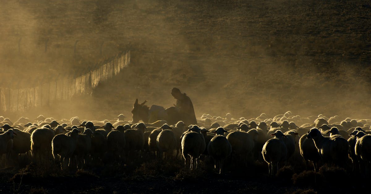 Shepherd woman riding horseback in Sinjajevina Montenegro highlands with sheep in background