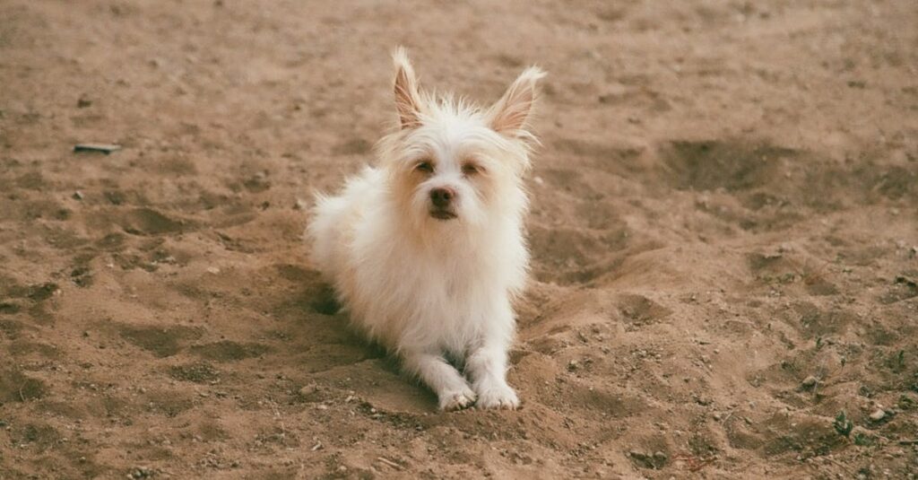 Pima County Sheriff's office building in Tucson, Arizona, where investigators are leading the search for Nancy Guthrie