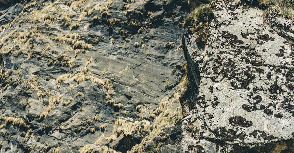 Pink granite boulders scattered on dark volcanic peaks of Hudson Mountains in West Antarctica