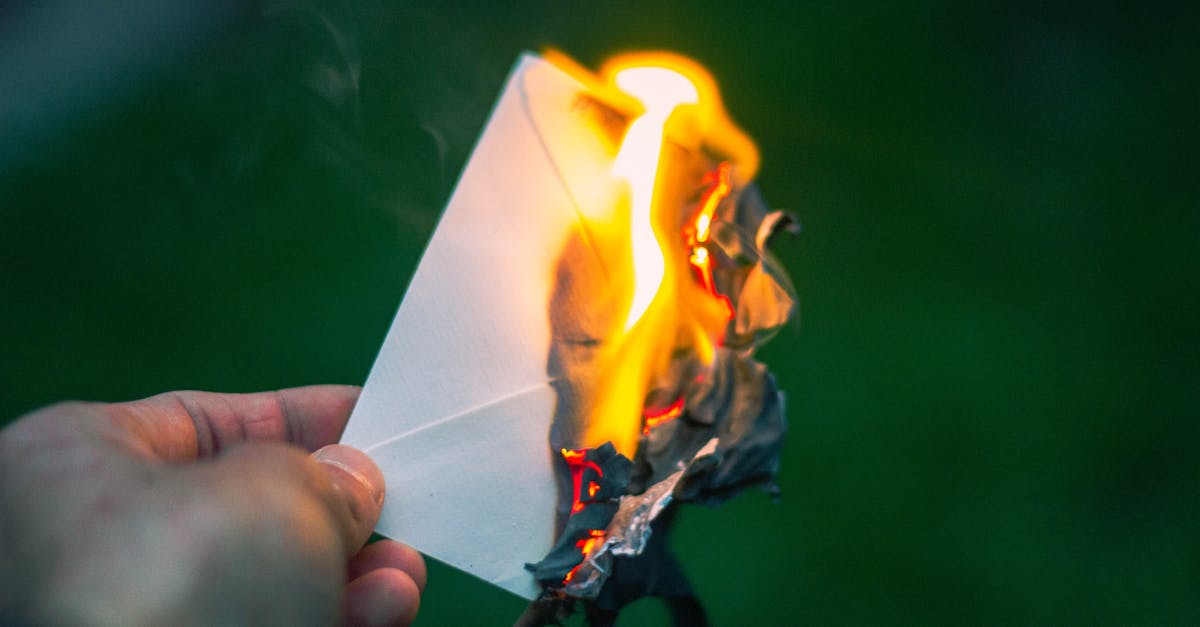 Pokémon GO Community Day event featuring Vulpix encounters