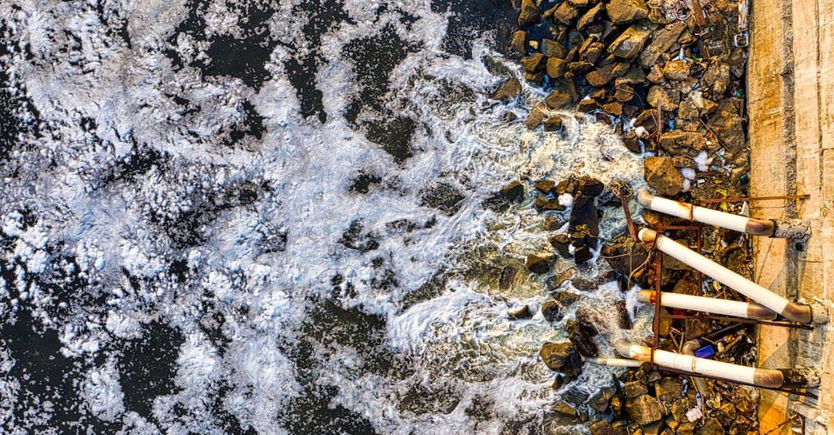 A view of the Potomac River showing water quality concerns from the sewage spill
