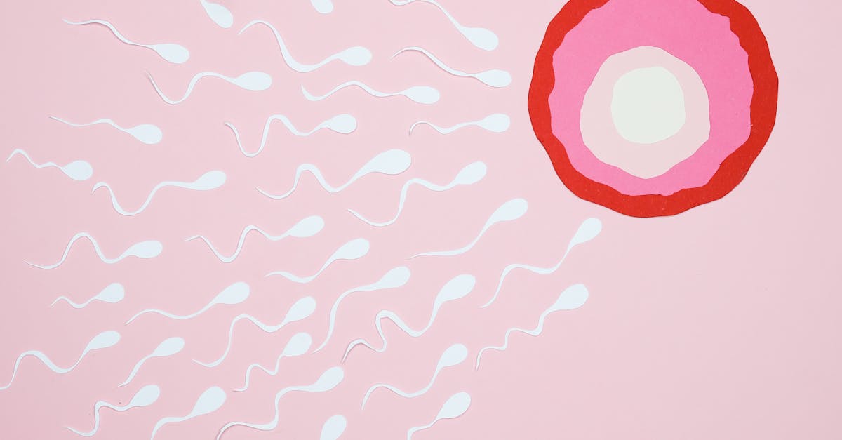 Microscopic view of sperm cells undergoing metabolic activation for fertilization