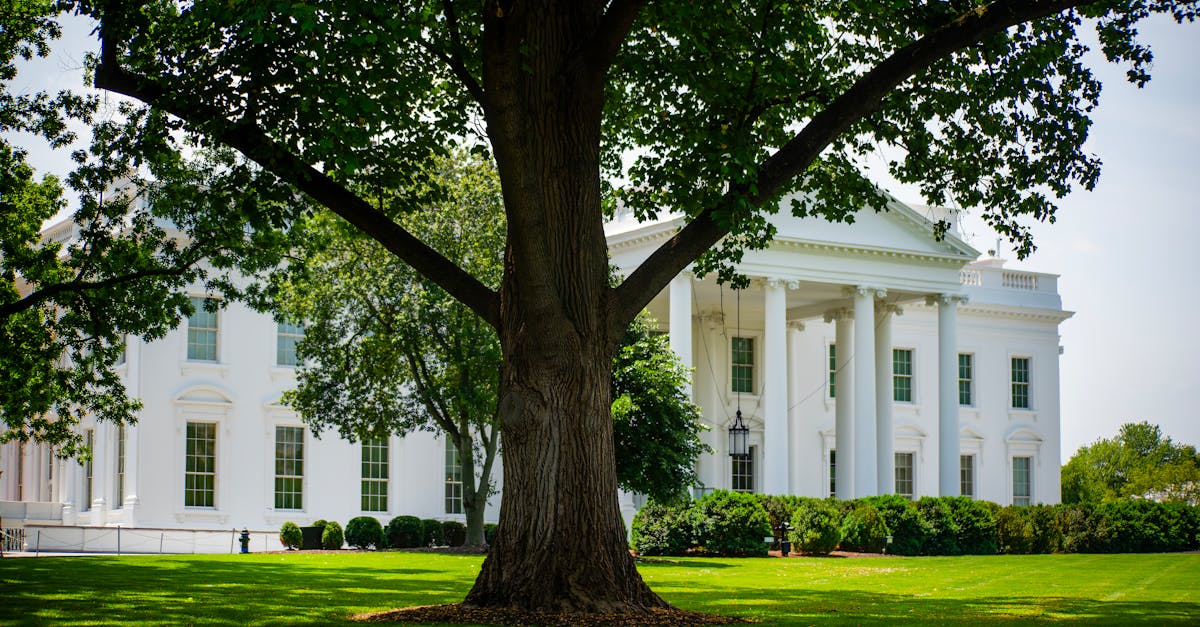 President Donald Trump speaking at podium with US governors in background at White House event
