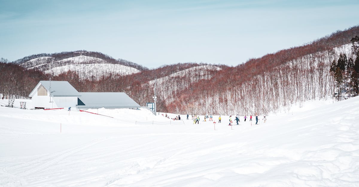 Snow-covered slopes at a Japanese ski resort with mountain peaks in the background